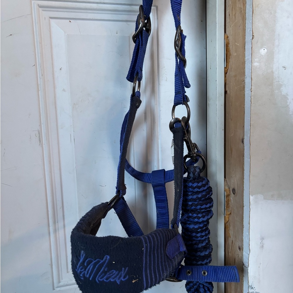 LeMieux Benton Blue Halter